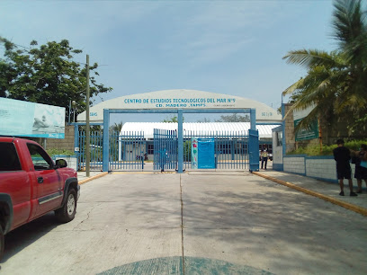 AF1QipMqeAHLolIxu6QMHMV0DuUlInUGAJalAP3BJ9V4w408-h306-k-no.jpeg
