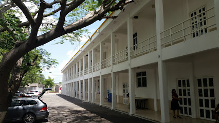 Instituto Universitario del Sureste